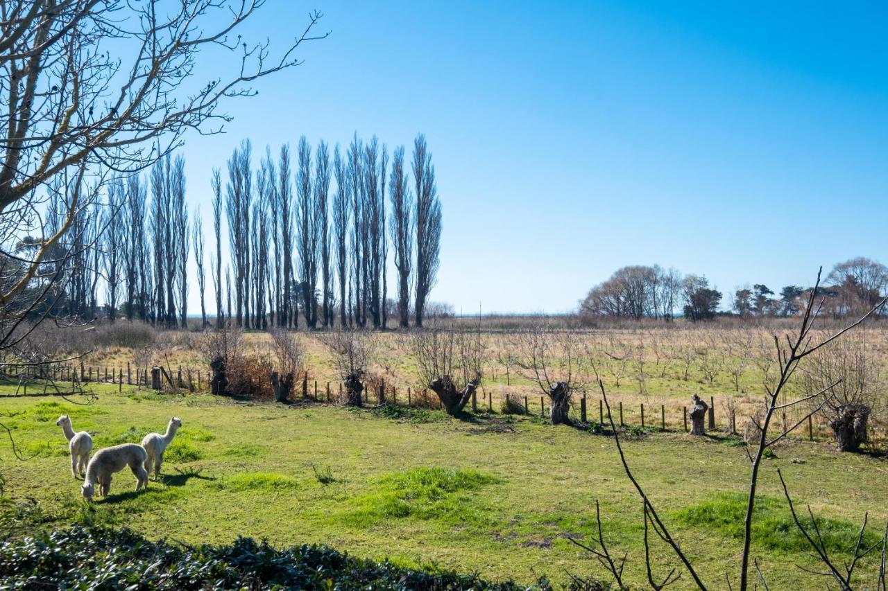 Te Awanga Cottages Buitenkant foto